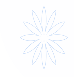 freeok_freeok 官网pro_地址发布页